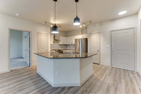 A kitchen with a counter and cabinets.